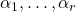 \alpha_1, \dots, \alpha_r