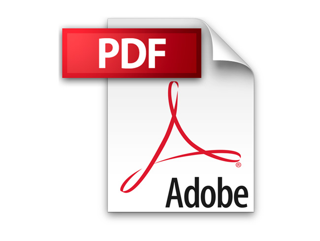 Download PDF file